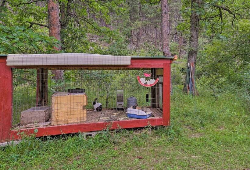 Historic Keystone Cabin Near Mount Rushmore!
