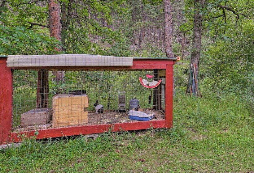 Historic Keystone Cabin Near Mount Rushmore!