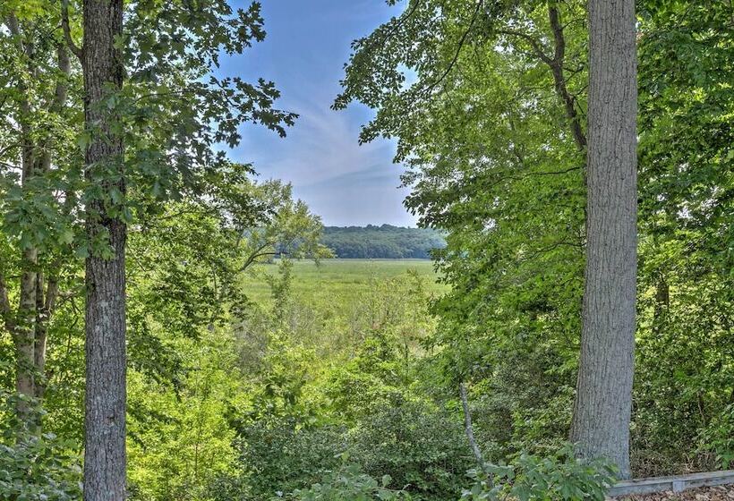 Juju S Place  Warsaw House W/ Deck & Tree Swings!