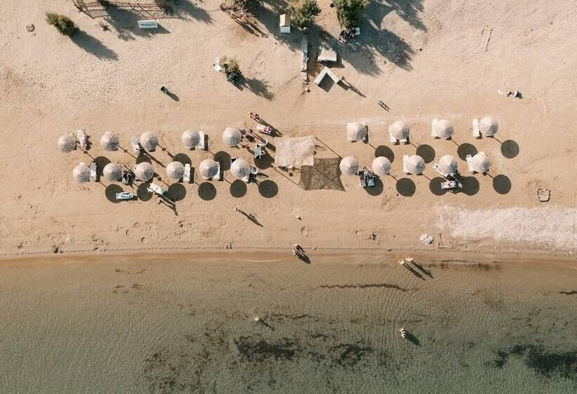 بنسيون Filanthi The Project