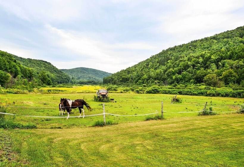 Pet Friendly Roxbury Farmhouse On 350 Acres!