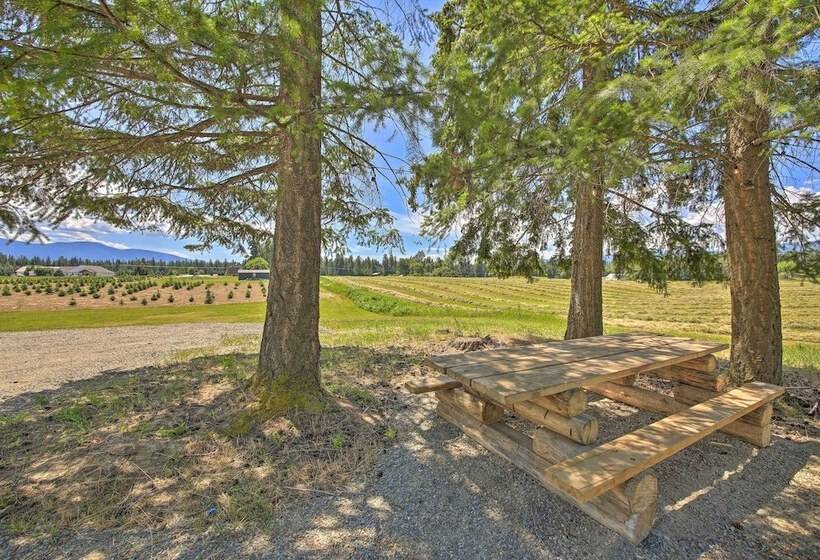 Serene Kootenai Cabin 3 Mi To Dtwn & River!