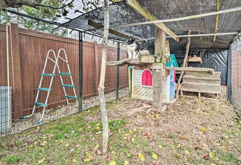 Sevierville Home: Lookout Deck, 10 Mi To Dollywood