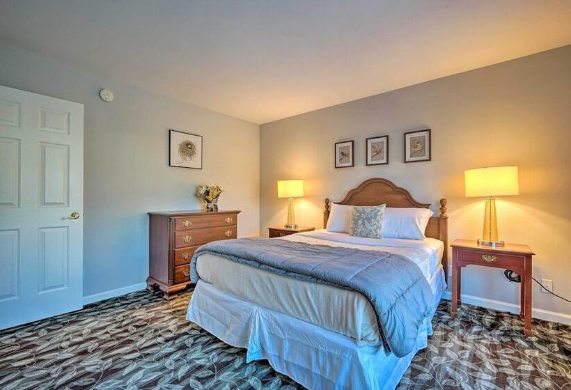 Spacious Home Near Bromley Mountain Ski Resort!