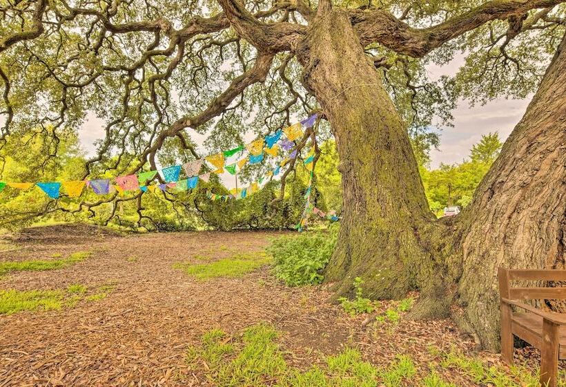 The Gathering Place  Brenham Home On 6 Acres