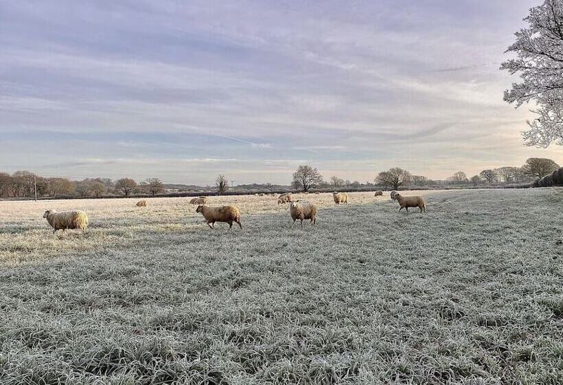 مبيت وإفطار The Jolly Sportsman