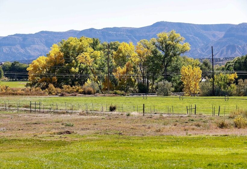 Cortez Retreat W/ Office & Stunning Mtn Views