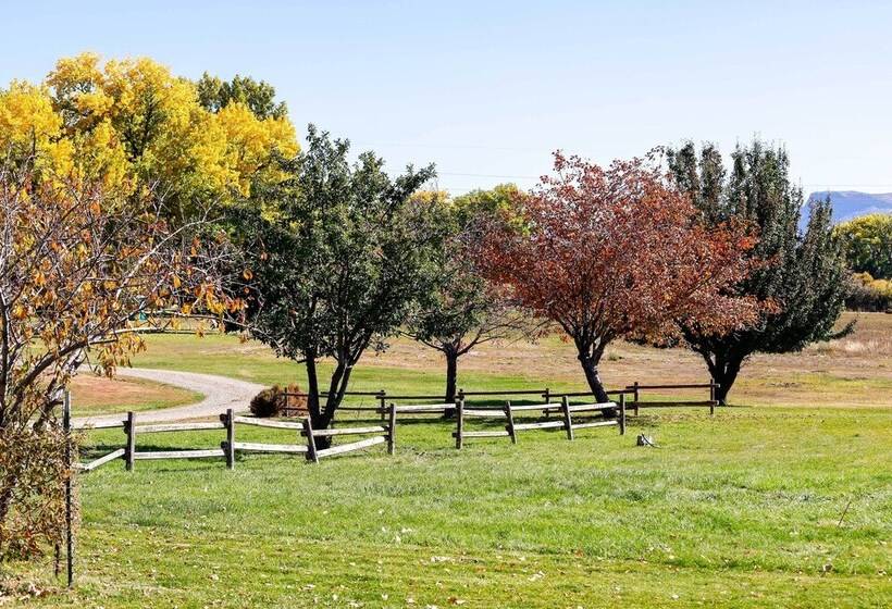 Cortez Retreat W/ Office & Stunning Mtn Views