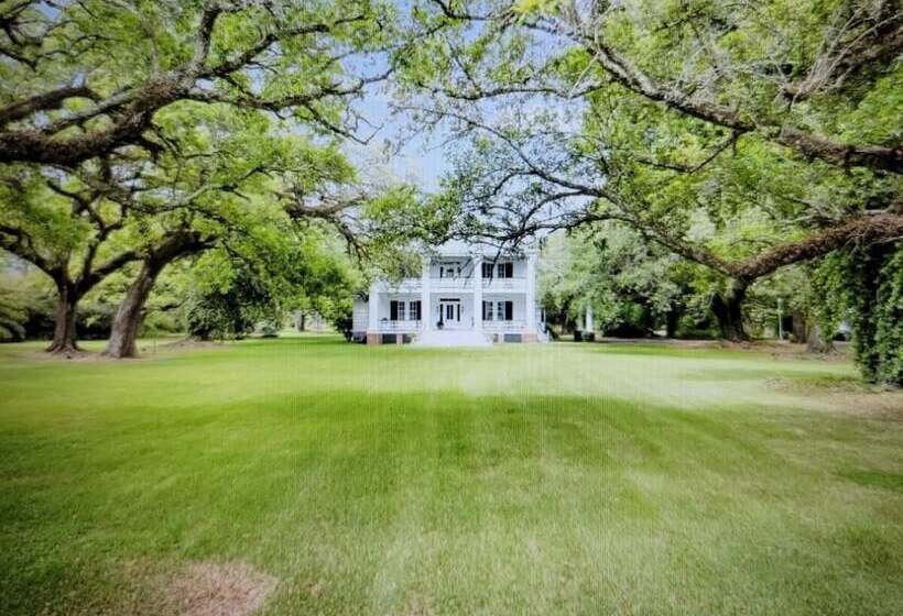 Fairfax Bed And Breakfast