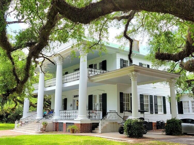 Fairfax Bed And Breakfast