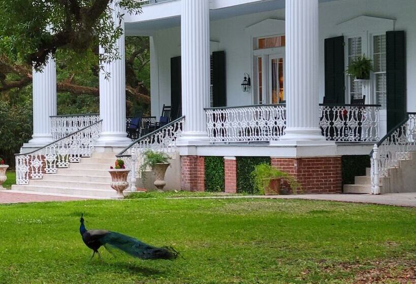 Fairfax Bed And Breakfast