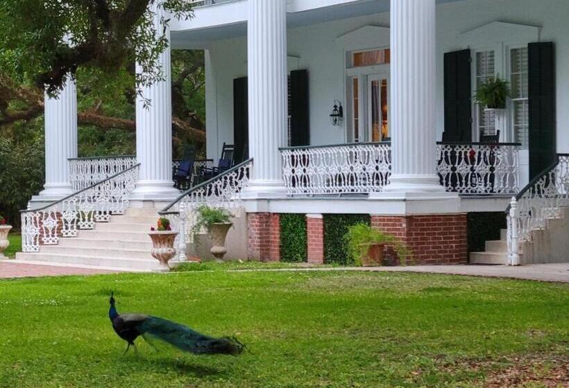 Fairfax Bed And Breakfast