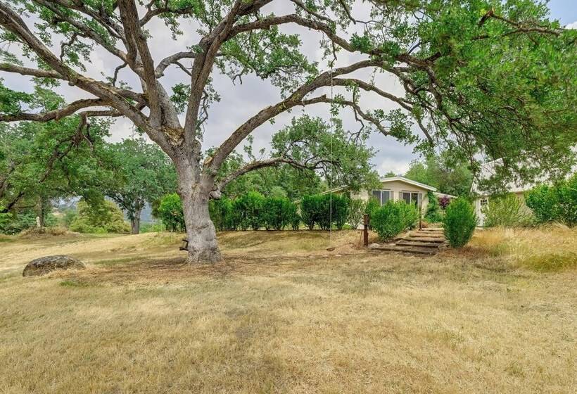 Adventure Haven W/ On Site Fun: Near Sequoia!