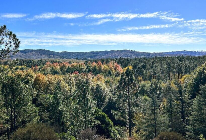 客栈 Estancia San Miguel