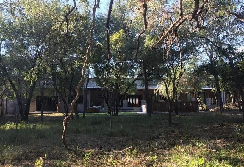 호텔 Dream Of Africa Bush Lodge