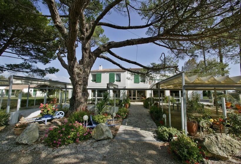 فندق Logis Hôtel Le Parasol