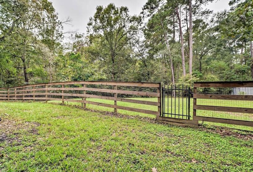 Modern Montgomery Home W/ Backyard, Deck, & Grill