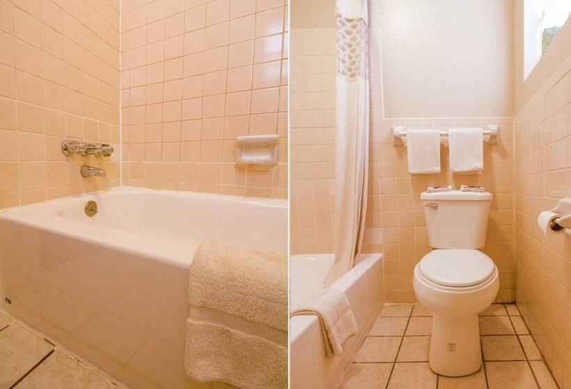 汽车旅馆  Oyo  Waurika Ok Us70