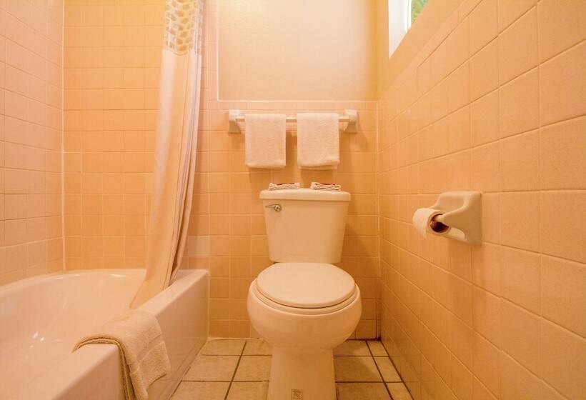 汽车旅馆  Oyo  Waurika Ok Us70