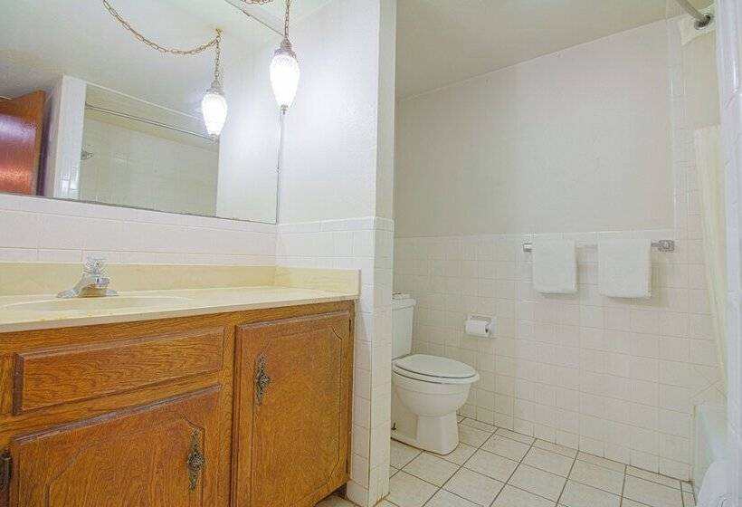 汽车旅馆  Oyo  Waurika Ok Us70