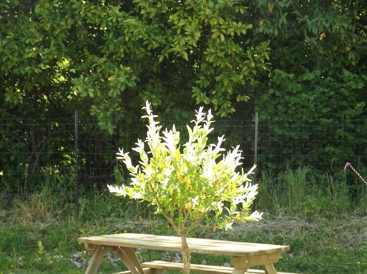 פנסיון Les Insolites De La Baie