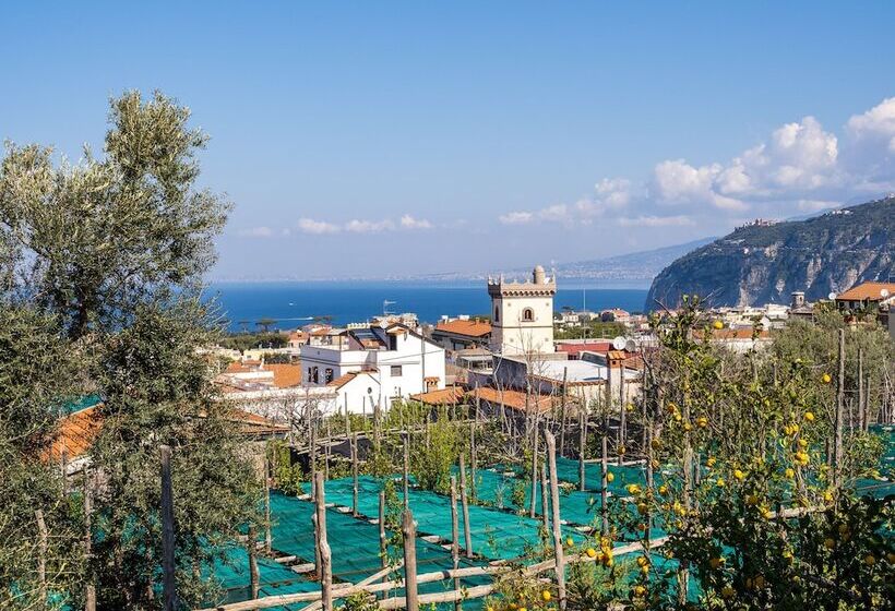 Пансион Palazzo Russo