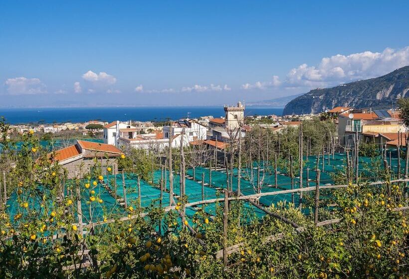 Пансион Palazzo Russo