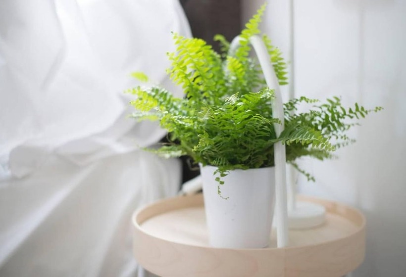 레지던스 Simple Coastal Luxury Near Southwold Sleeps 10