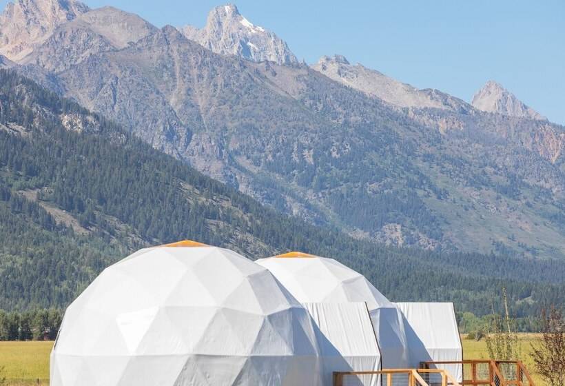 Tammah   Jackson Hole