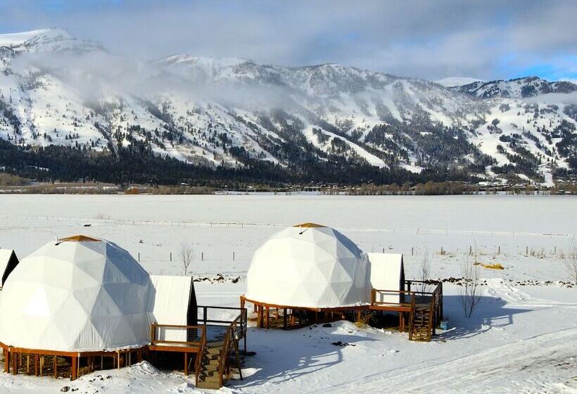 Tammah   Jackson Hole