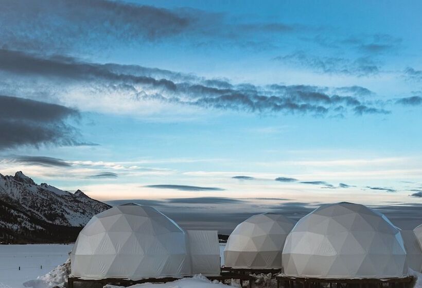 Tammah   Jackson Hole