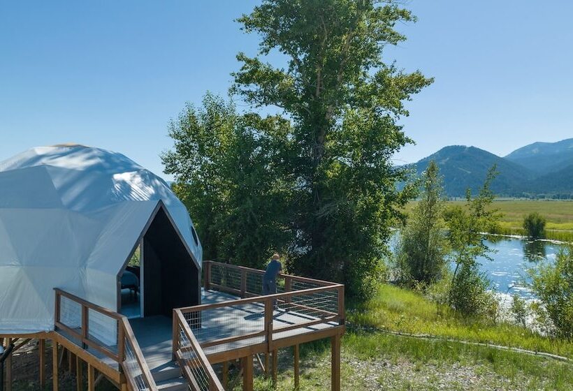 Tammah   Jackson Hole