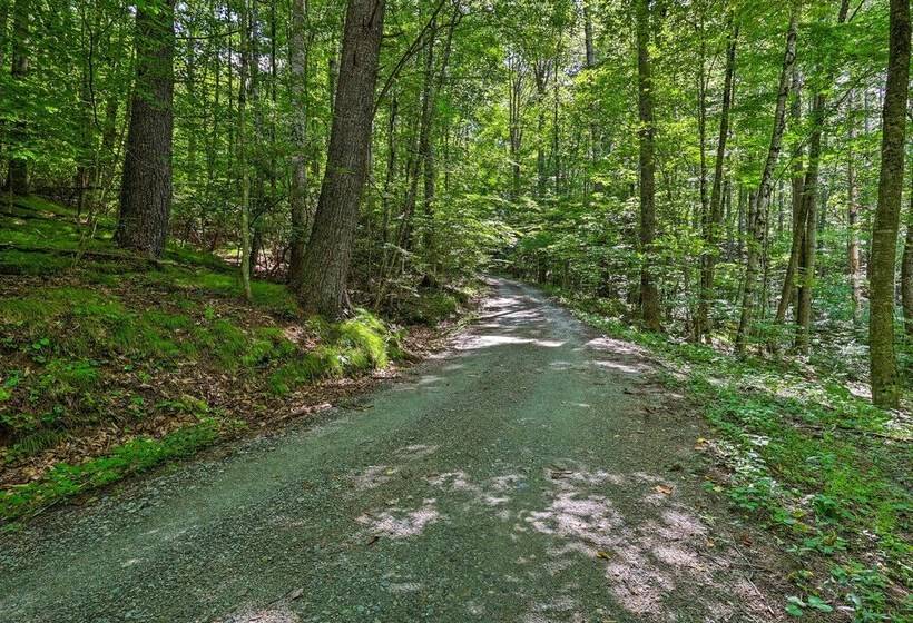 The Bird Sanctuary Fire Pit, Gas Grill & Hammock