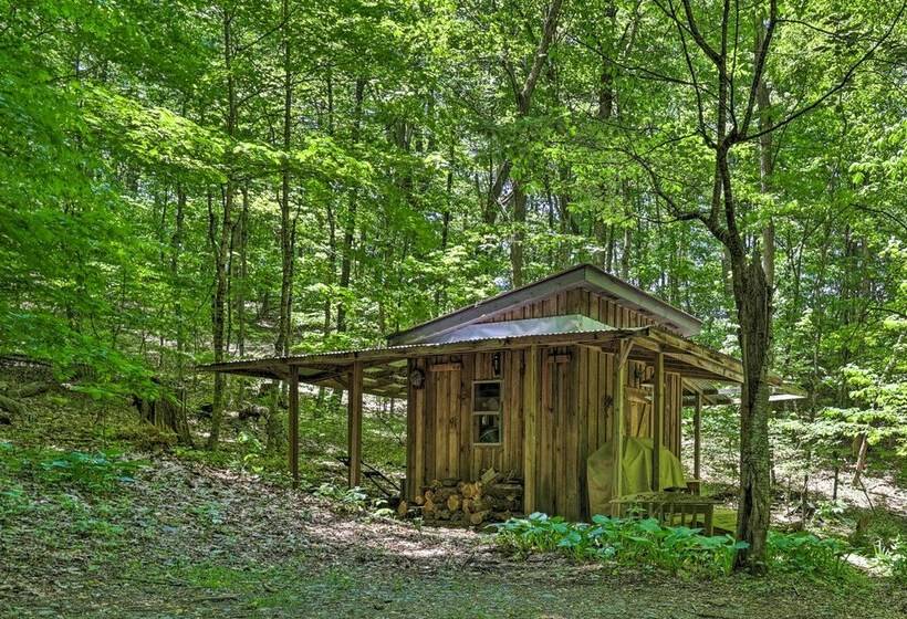 The Bird Sanctuary Fire Pit, Gas Grill & Hammock