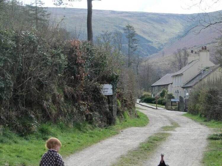 The Mill House At Cwmiar Farm Relaxing Holidays