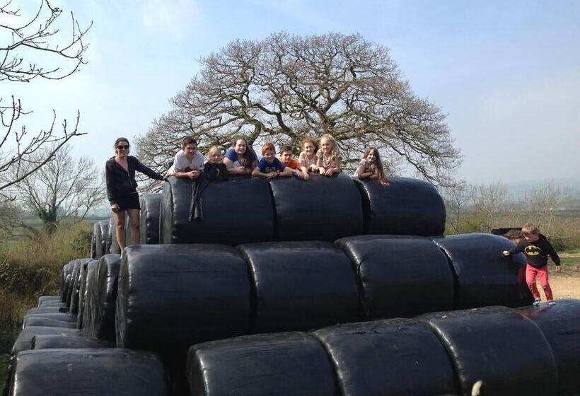 The Mill House At Cwmiar Farm Relaxing Holidays