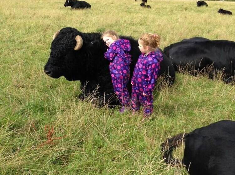 The Mill House At Cwmiar Farm Relaxing Holidays