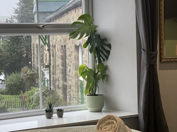 민박 Black Bull Bellingham