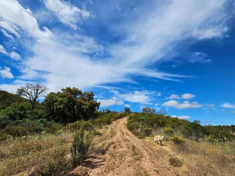 تختخواب و صبحانه Herdade Do Rio Torto