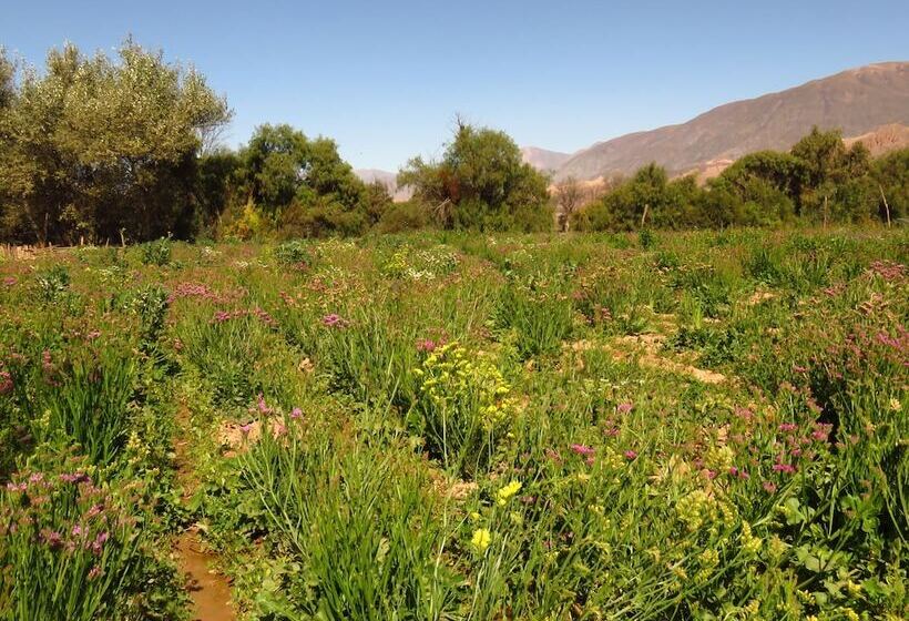 Bed and Breakfast La Paleta Del Pintor Hosteria