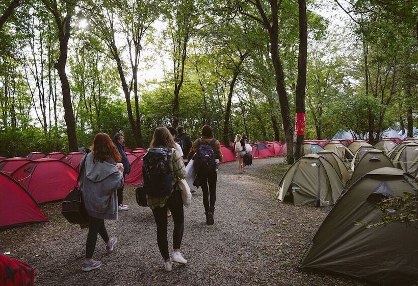 تختخواب و صبحانه Munich Central Camping
