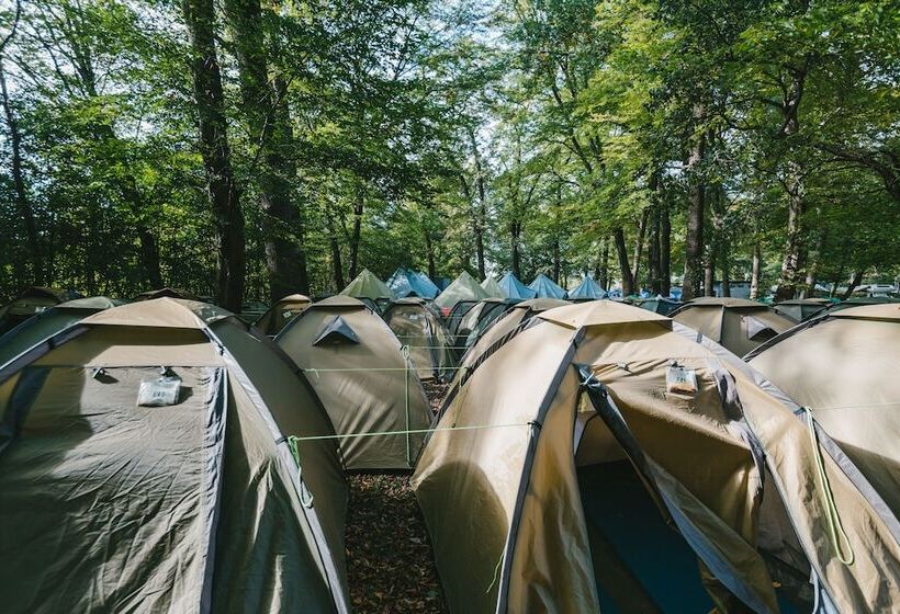 تختخواب و صبحانه Munich Central Camping