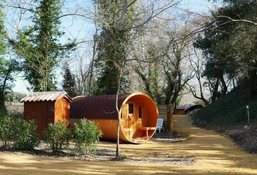 住宿加早餐  Nuit étoilée