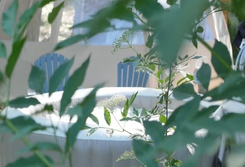 住宿加早餐  Nuit étoilée