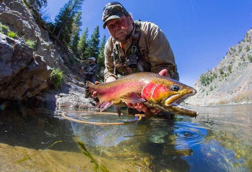 Cabins In The Pines #12 By Summit County Mountain Retreats