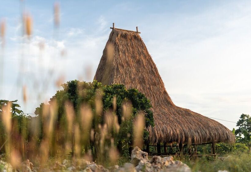 Cap Karoso Sumba   A Member Of Design Hotels