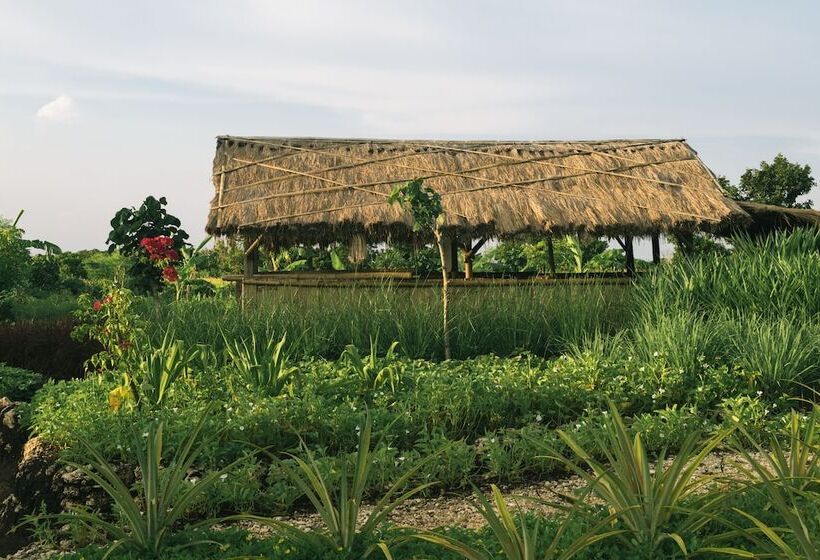 Cap Karoso Sumba A Member Of Design Hotels