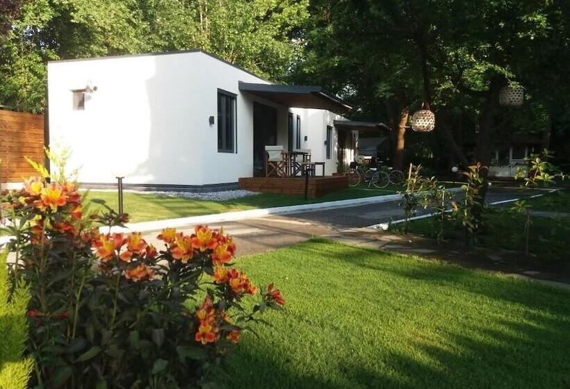 Gkaras Camp & Apartments