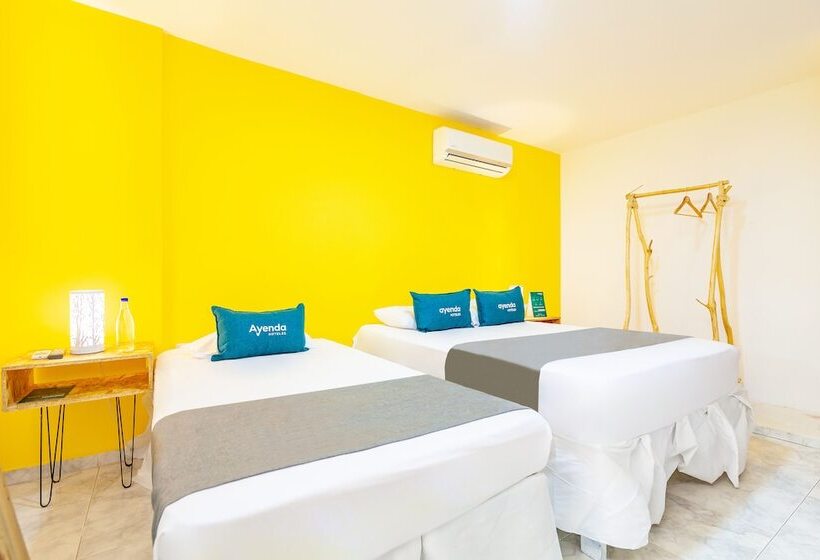 酒店 Ayenda Casa Paulina