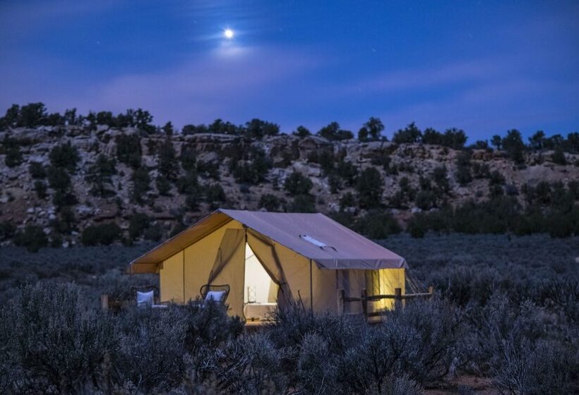 Отель Basecamp 37°